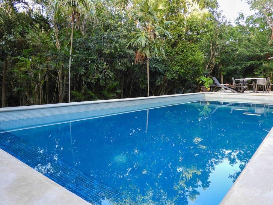 Aku-Chic Newly Furbished Condo Jungle Pool Xetna Dış mekan fotoğraf